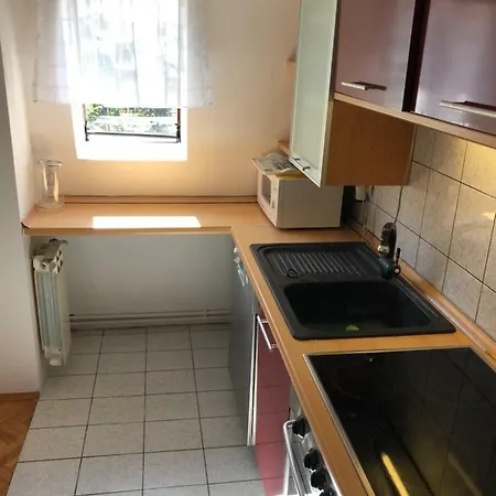 Apartamento With Garden Near Bascarsija *